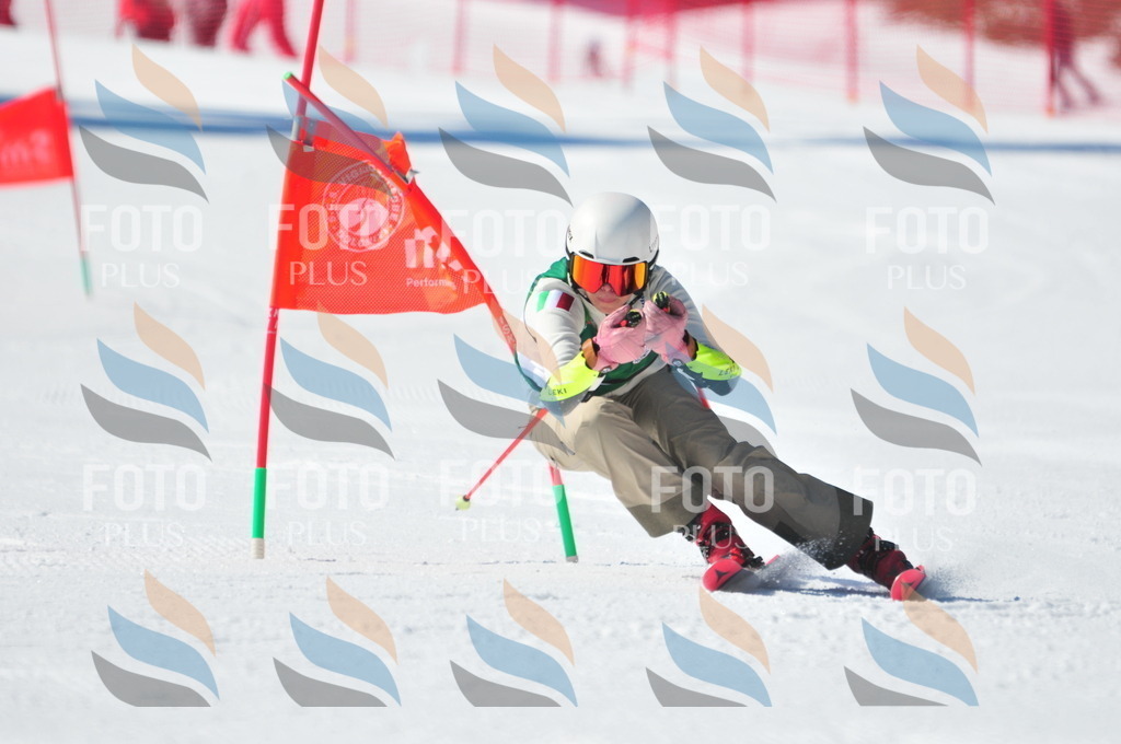 C4218 | holidayphoto