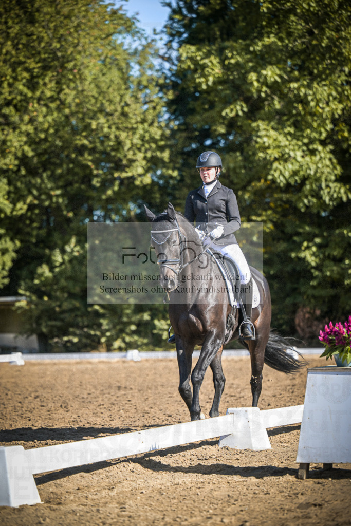 DOS_1619 | Entdecke hochwertige Reitturnierfotos von Foto Oger. Professionell, emotional und authentisch – jetzt Lieblingsmomente im Shop bestellen.Deutschlandweite Turnierfotografie. - Realisiert mit Pictrs.com