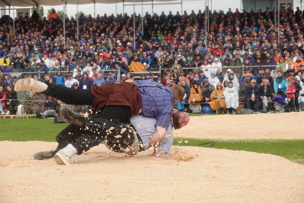 DSC03945 | Schwingen - Realisiert mit Pictrs.com