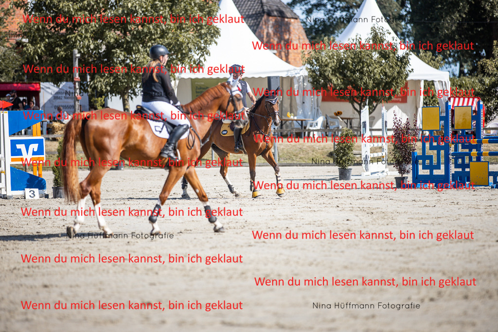 BK1A7062 | Turnierbilder Turnierfotos Nina Hüffmann Turnierfotografie Pferdefotografie Tierzeichnung Haustierzeichnung Pferdezeichnung Hundezeichnung Videograf  - Realisiert mit Pictrs.com