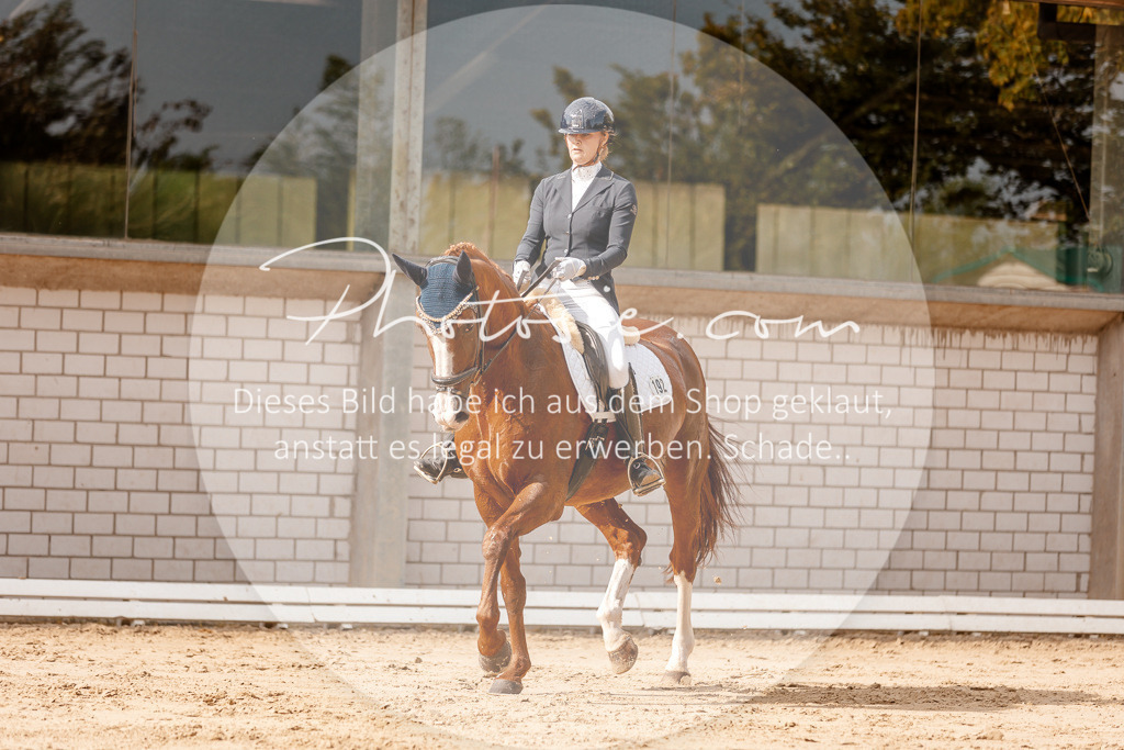 3I6A3511 | Stimmungsvolle Portraits und Reitsportfotografie im Ruhrgebiet und im Münsterland.

Pferdefotografie, Hundefotografie, Tierfotografie, Reportagen, Portraits von Tier und Mensch, Turnierfotografie in Bochum, Recklinghausen, Marl, Haltern am See, Dülmen.. - Realisiert mit Pictrs.com