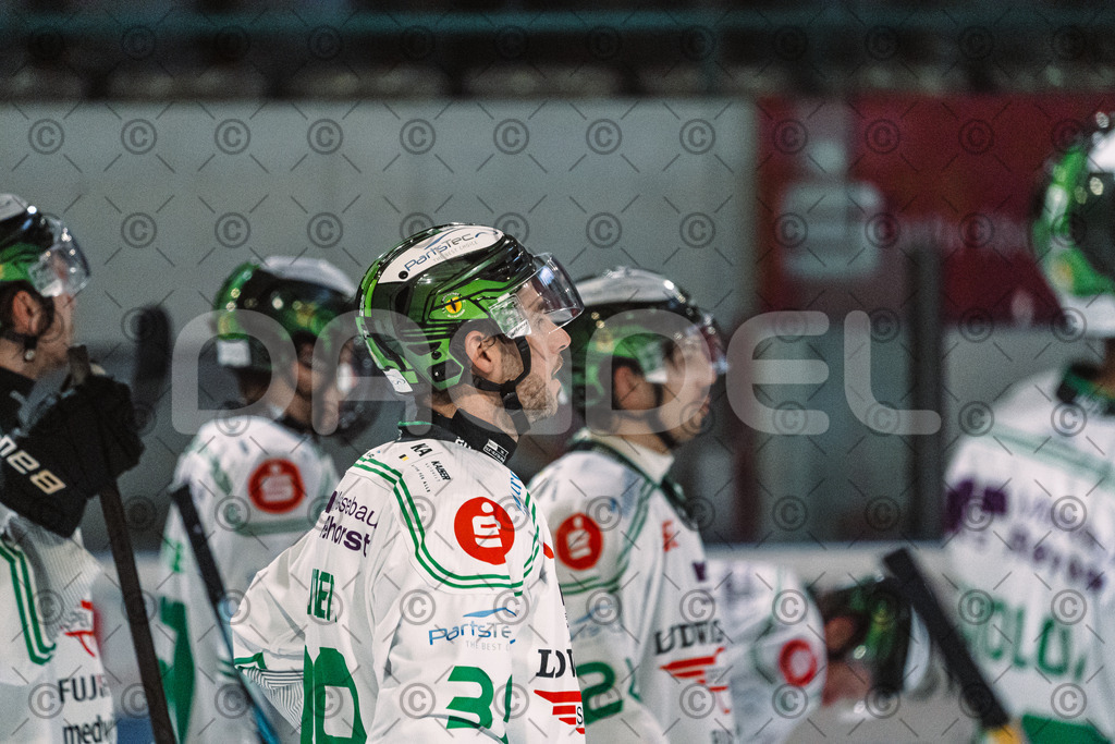 Erding_vs_Alligators_02_01_2026-83 | Höchstadt Alligators Fotogalerie: Eishockey-Action aus Franken. Professionelle Spielfotos, Portraits & Stadionbilder zum Download. Jetzt entdecken! - Realisiert mit Pictrs.com