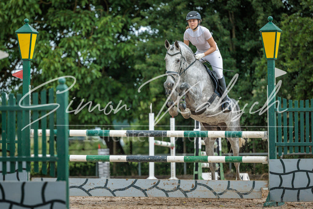 20260530-_3LI2727 | Tierfotografie Pferde, Hunde, Katzen, Haustiere.
Turnierfotografie Reitturniere, Reiten, Springreiten, Dressur in Hanau, dem Main-Kinzig-Kreis und dem Rhein-Main- Gebiet um Frankfurt