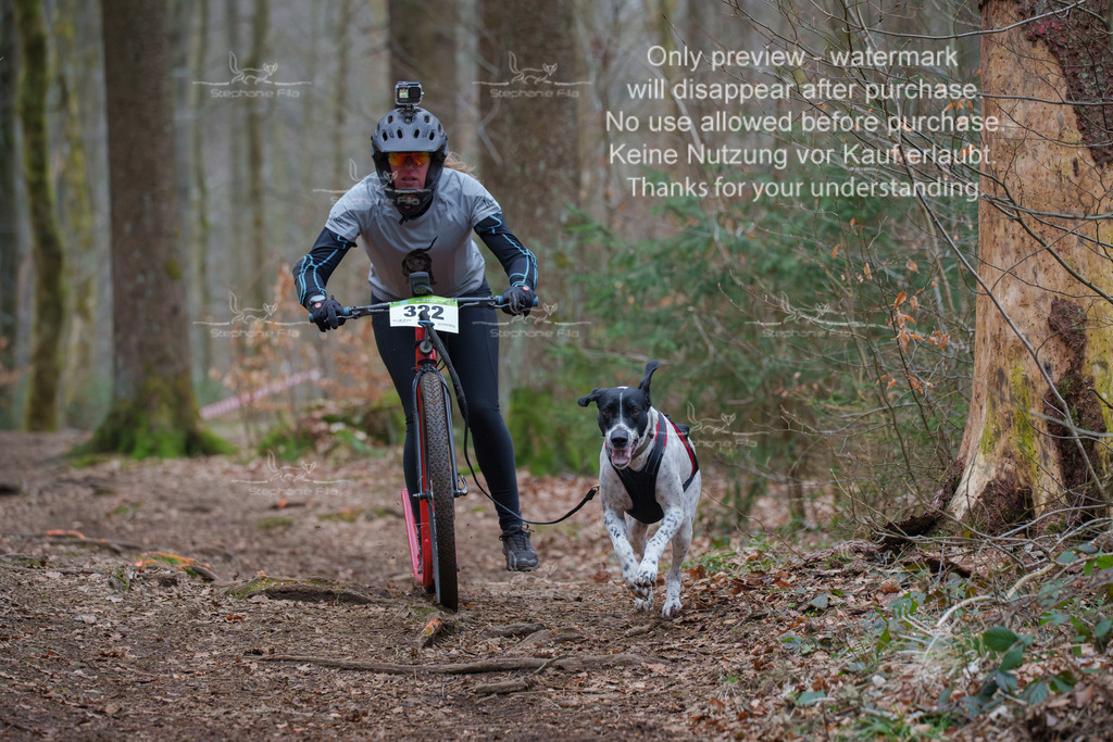 Scooter_So-35 | stephaniefillaphotographie - Realisiert mit Pictrs.com
