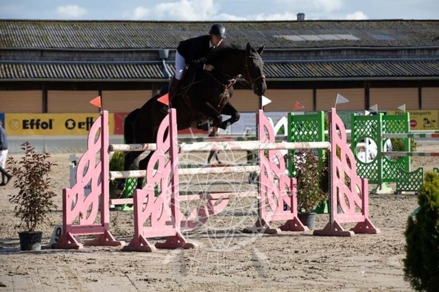 2B4A3751 | pixelfaenger - Realisiert mit Pictrs.com