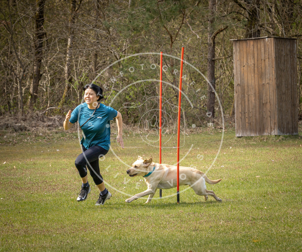 Pfotenfotografie_DV3A7335 | Hundefotografie, Tierfotograf, Pfotenfotografie, Fotoshooting Hund, Hunde Portrait, Hundesport, Hundeportraits, Heideshooting, Hunde, Sportfotograf, Hundefotograf, Turnierhundsport, THS,  - Realisiert mit Pictrs.com