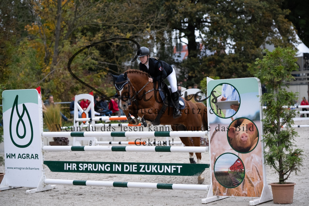 A7V08786 | Turnier/Reitfotograf