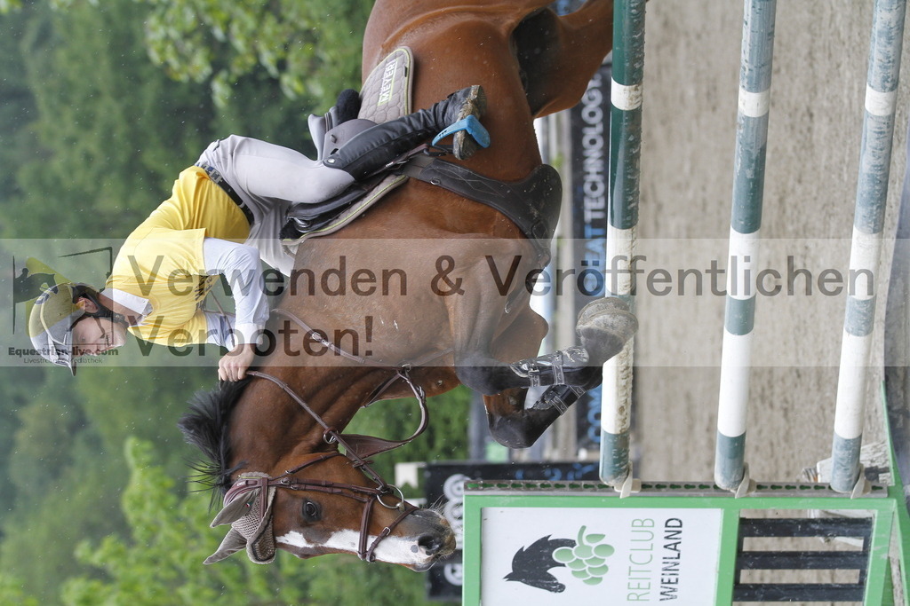 _MG_1936 | equestrian-live-com