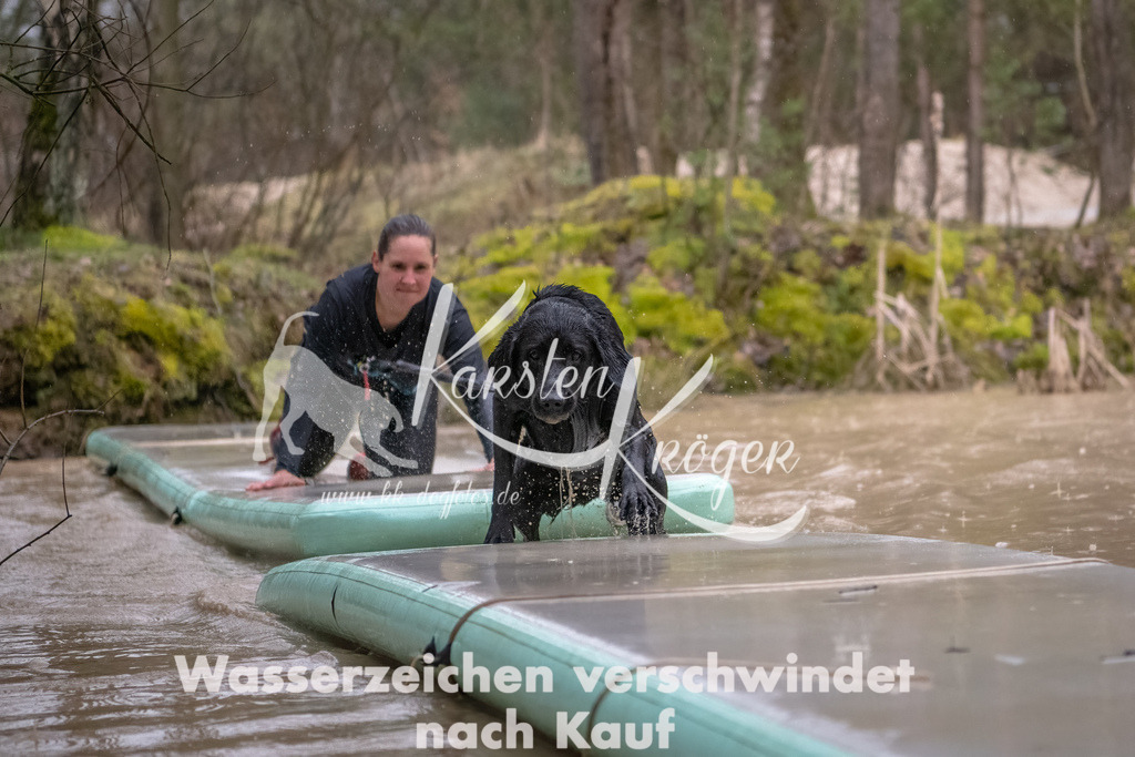 1057_ZZ93849-Bearbeitet | kk-dogfotos