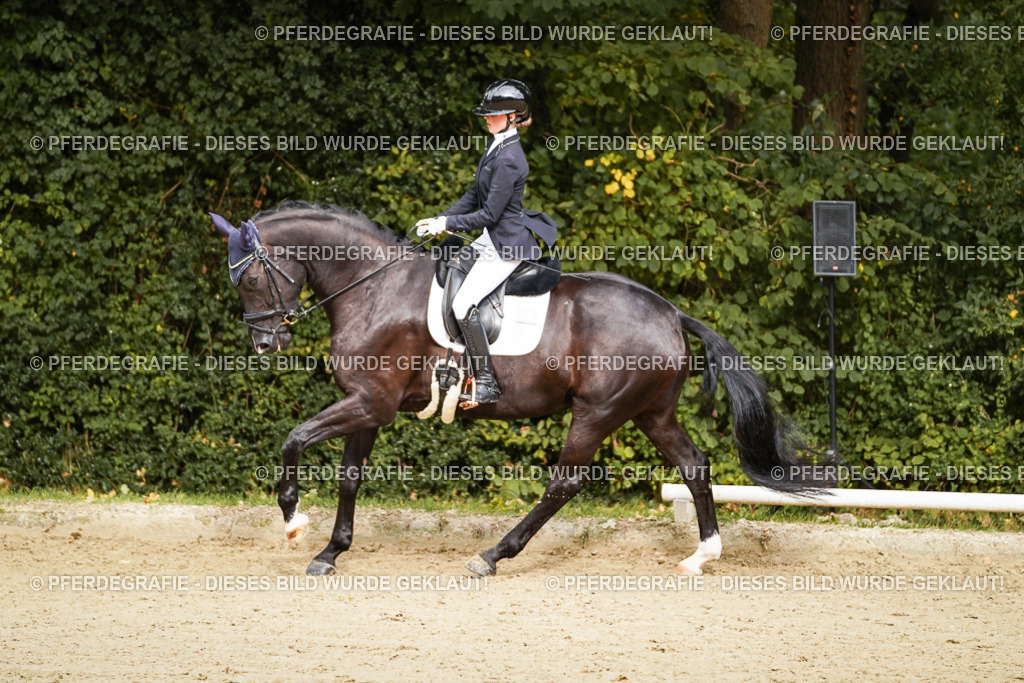 DSC09958 | Pferdegrafie