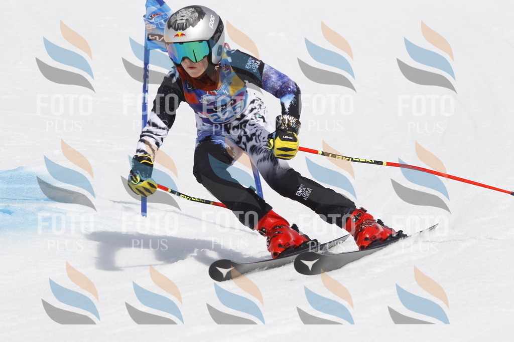 _U3G2468 | holidayphoto