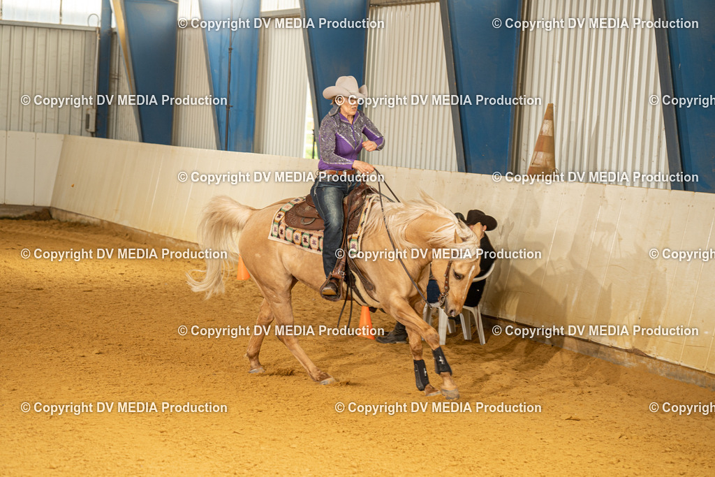 MIT01385 | dv-media-shop - Realisiert mit Pictrs.com