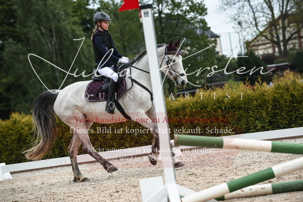 20230518_JK-Röhrsdorf-10-571 | Pferde- und Turnierfotografie in Westsachsen. Pferdeportraits, Auftragszeichnungen und intuitive Kunst.