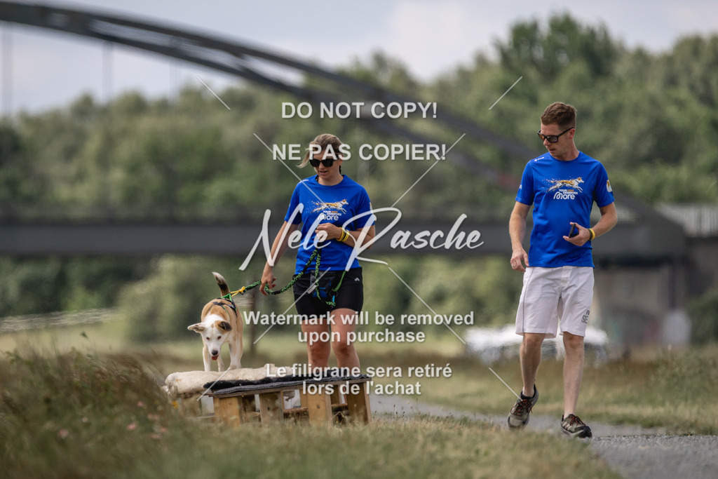 nelerasche_BuHu2026_SaCC1100-1200_98 | nelerasche
