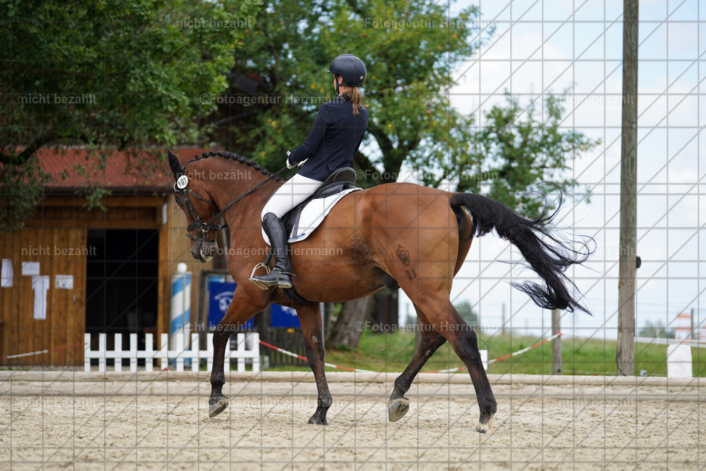 20230826-FAH05696 | Forstinning, 2023, Dressurturnier, Turniersportbilder, Turnierfotografen Bayern, Fotoagentur Herrmann, Reitsportfotografie, Turnierbilder