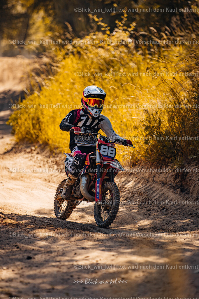 E68A7736 | blick_win_kel