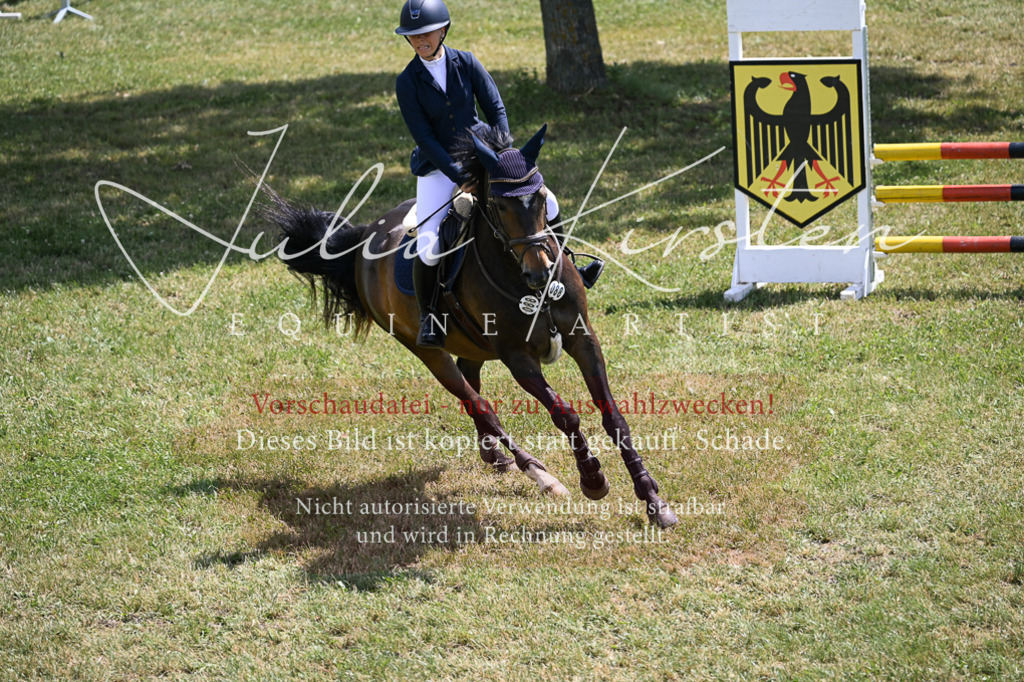DSC_9646 | Pferde- und Turnierfotografie in Westsachsen. Pferdeportraits, Auftragszeichnungen und intuitive Kunst.