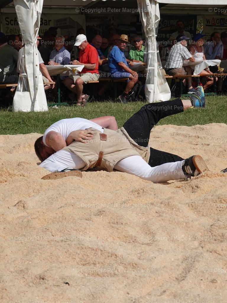 DSC05171 | Schwingen - Realisiert mit Pictrs.com