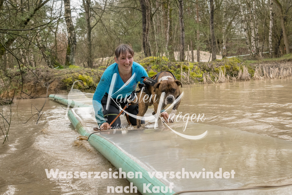 1341_ZZ90490-Bearbeitet | kk-dogfotos