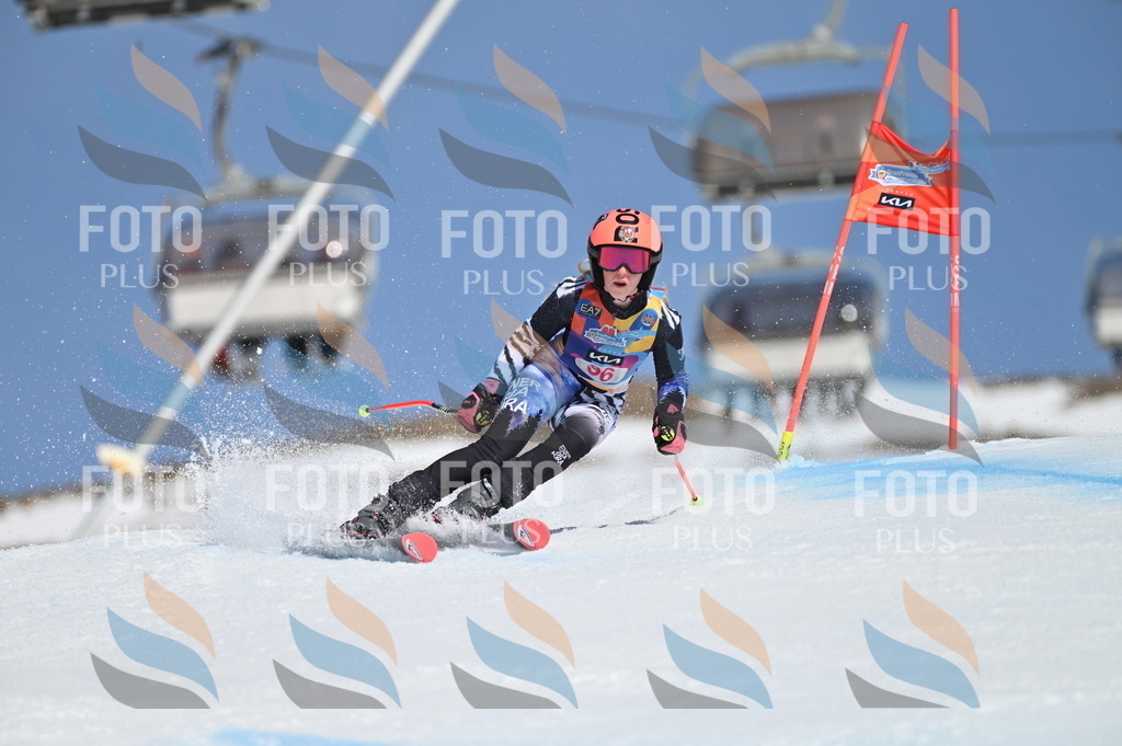 BGV_9368 | holidayphoto