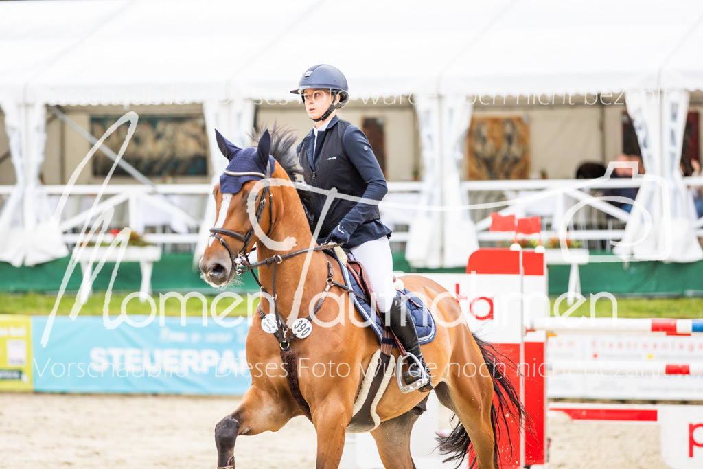 BHO-2PhSpr-M-5-2409 | MomenTaufnahmen Pferdesportfotos