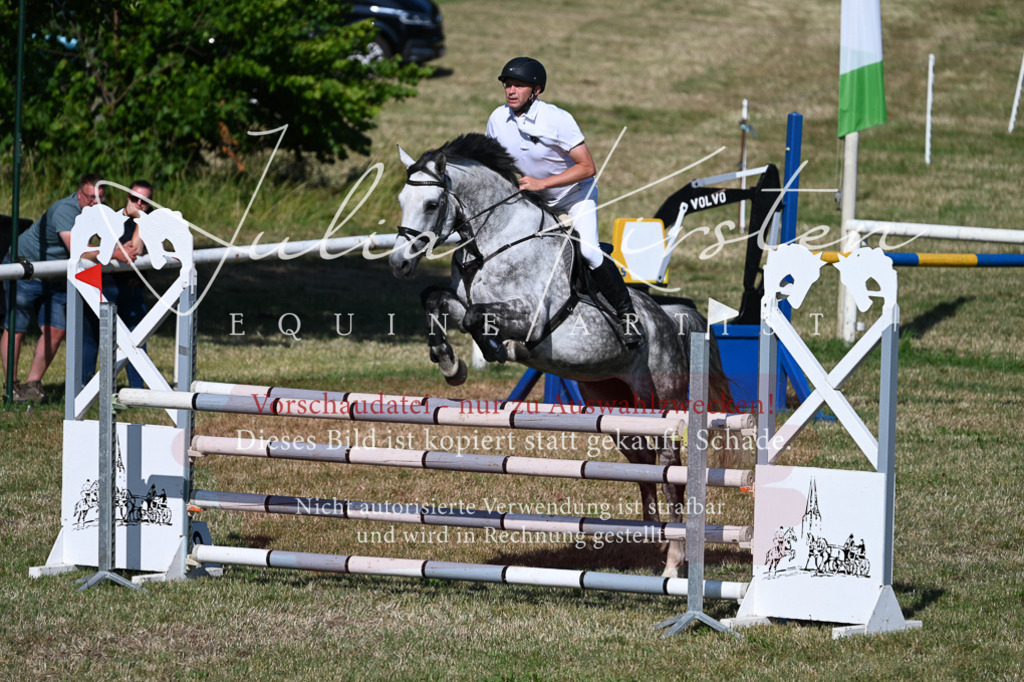 DSC_2246 | Pferde- und Turnierfotografie in Westsachsen. Pferdeportraits, Auftragszeichnungen und intuitive Kunst.