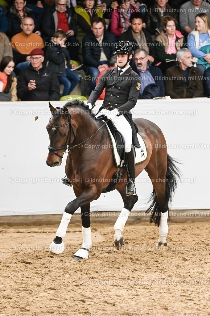 20260307_Hengstvorstellung-Marbach_0353 | equistock