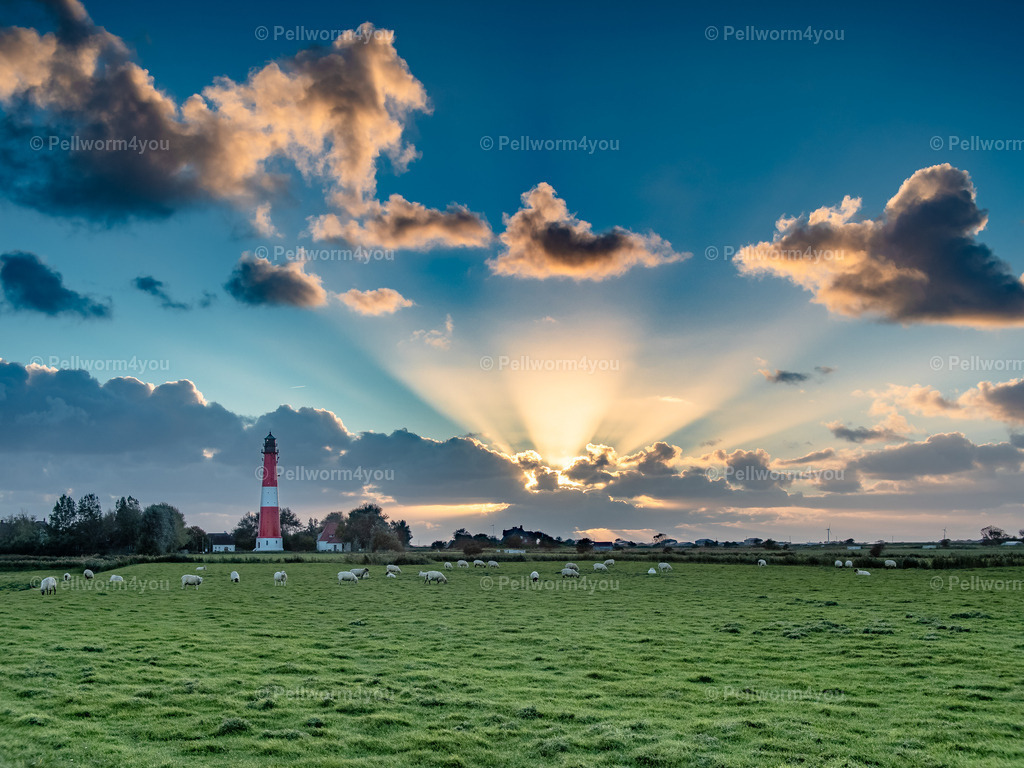Ein Tag geht zu Ende am Pellwormer Leuchtturm | Pellwormer Bilder und Fotos als Poster, auf Leinwand mit Keilrahmen, hinter Acrylglas, auf Alu-Dibond oder Forex-Platte und vieles mehr. Zum verschenken, für die Ferienwohnung oder für zu Hause. - Realisiert mit Pictrs.com