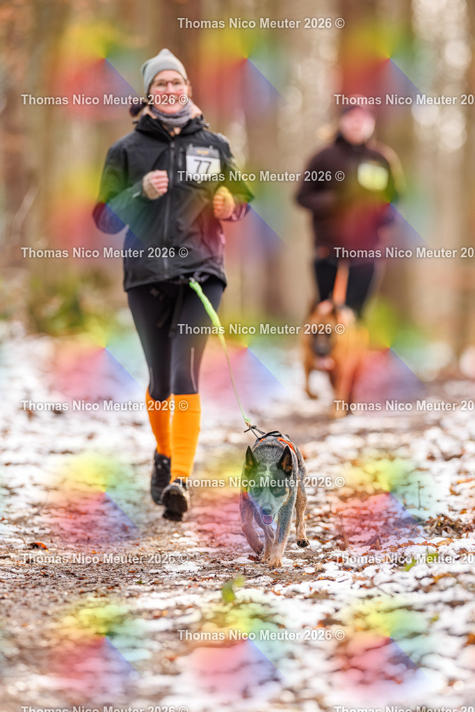 Thomas_Nico_Meuter(C)_223A9241 | Bild von Thomas Nico Meuter - Realisiert mit Pictrs.com