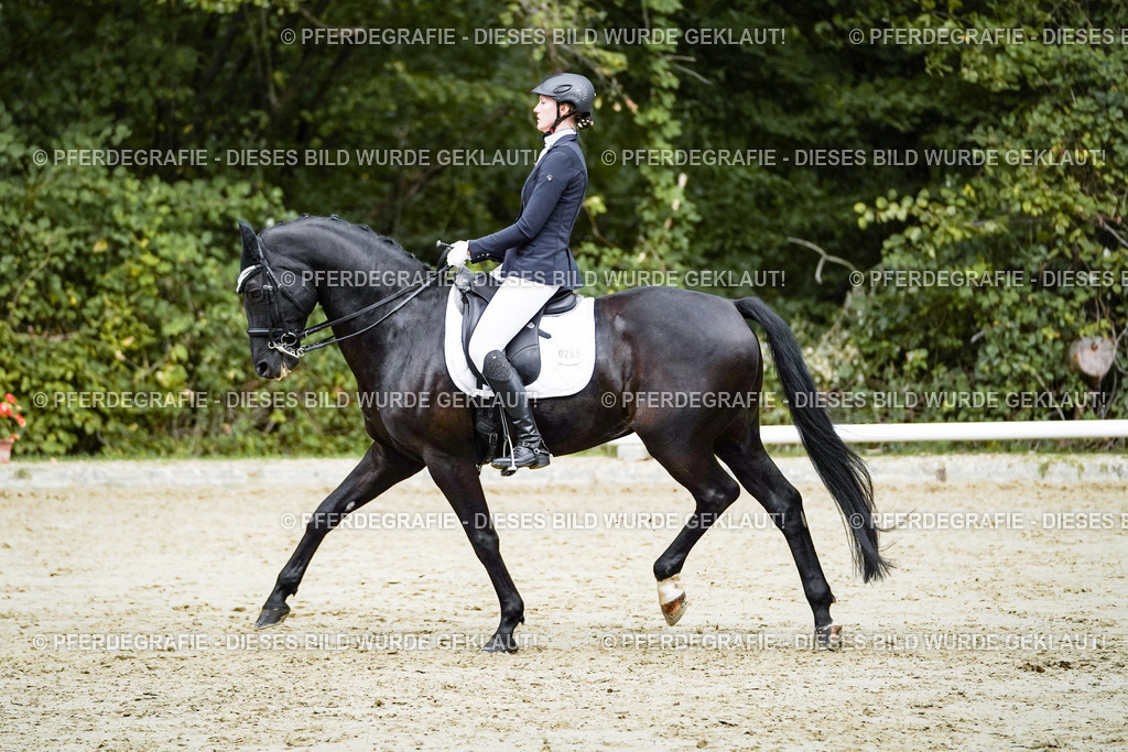 DSC00054 | Pferdegrafie