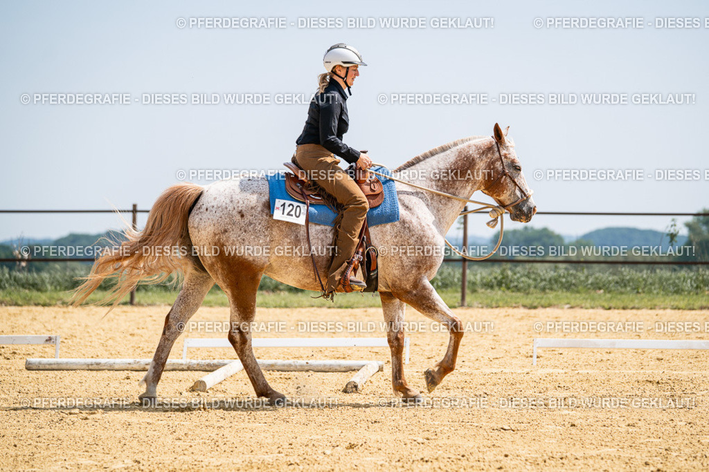 DSC00568 | Pferdegrafie