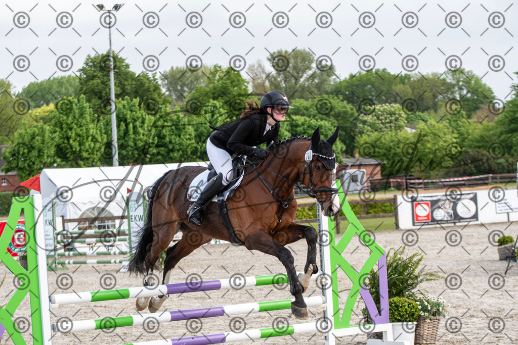 KPT_7728 | andre_photographic