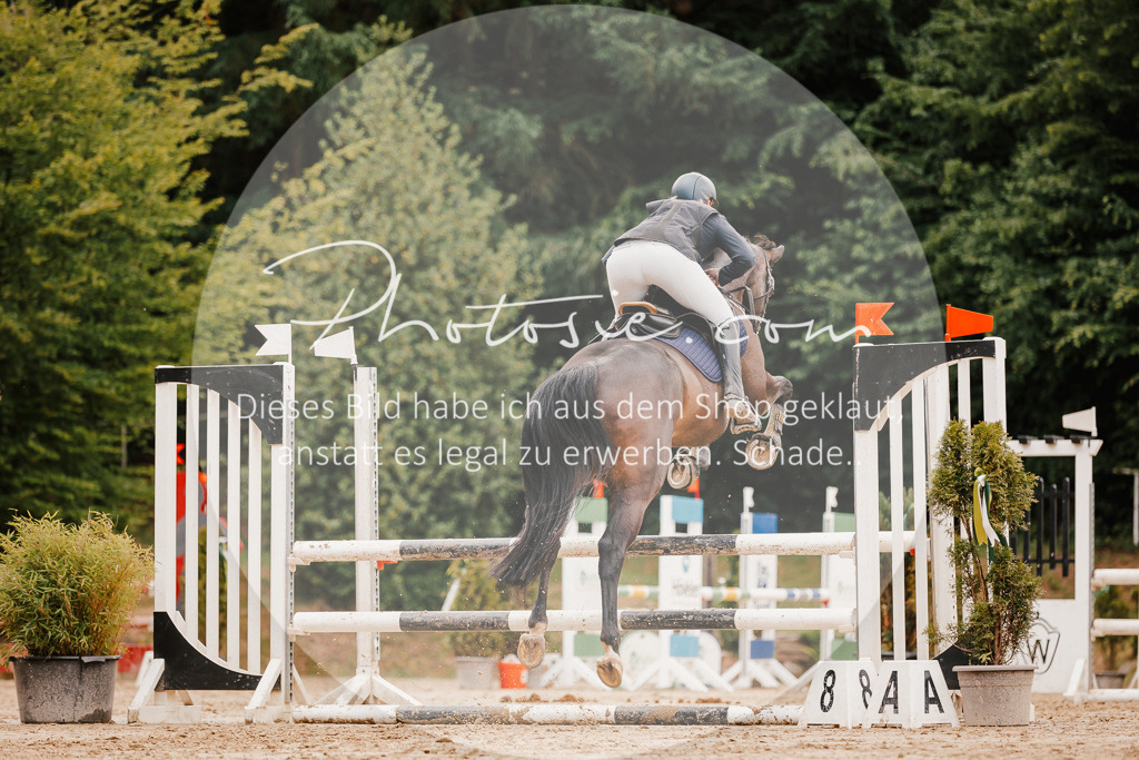 3I6A2456 | Stimmungsvolle Portraits und Reitsportfotografie im Ruhrgebiet und im Münsterland.

Pferdefotografie, Hundefotografie, Tierfotografie, Reportagen, Portraits von Tier und Mensch, Turnierfotografie in Bochum, Recklinghausen, Marl, Haltern am See, Dülmen.. - Realisiert mit Pictrs.com
