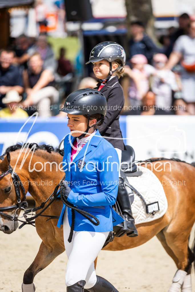 BHO-Führzügel1-026 | MomenTaufnahmen Pferdesportfotos