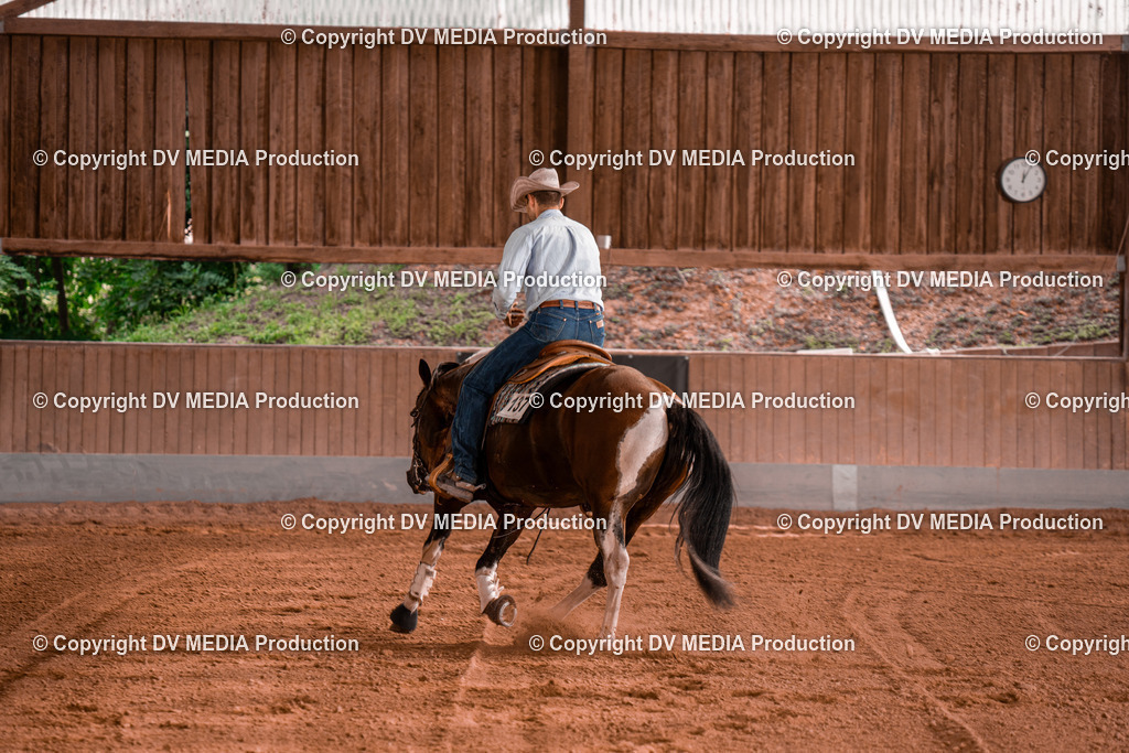 NE300843 | dv-media-shop - Realisiert mit Pictrs.com