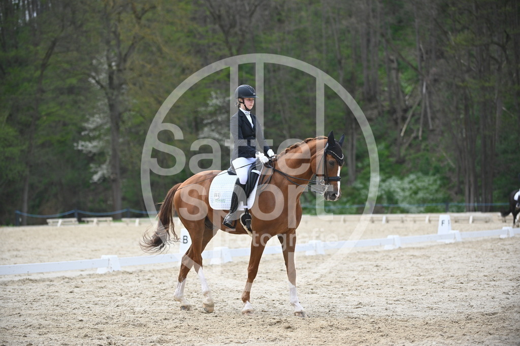 DSC_5137 | sattelsport - Realisiert mit Pictrs.com