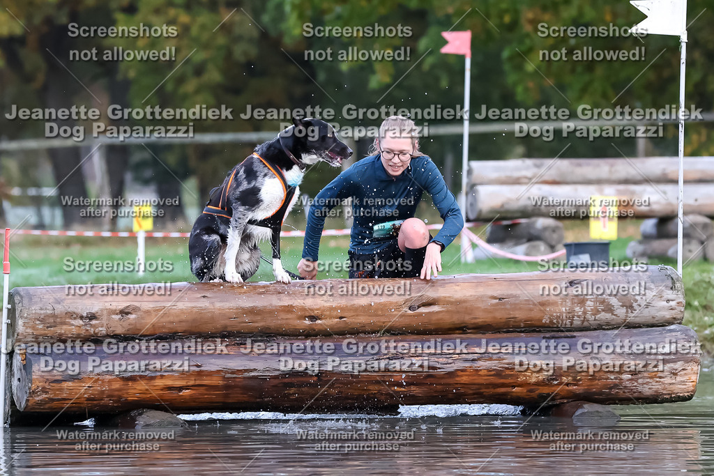 Dog Paparazzi - Strongdog 10-25-6356 | Dog Paparazzi Jeanette Grottendiek Fotografie & Videografie - Realisiert mit Pictrs.com