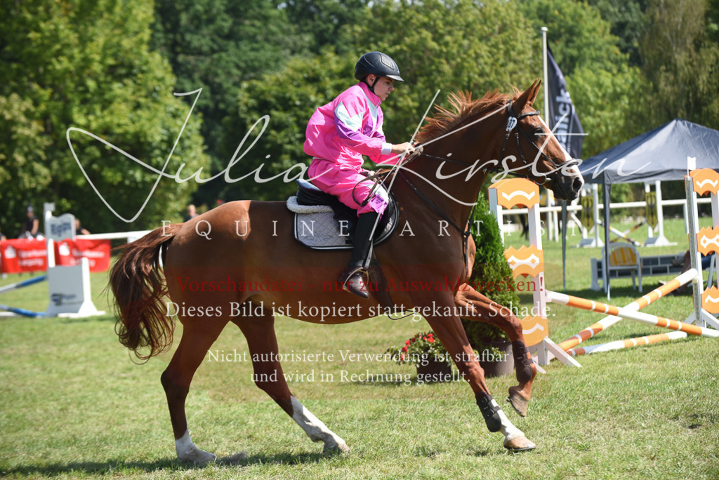 DSC_0243 | Pferde- und Turnierfotografie in Westsachsen. Pferdeportraits, Auftragszeichnungen und intuitive Kunst.