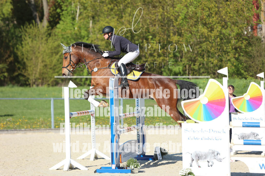 IMGM2697 | pl-fotografie