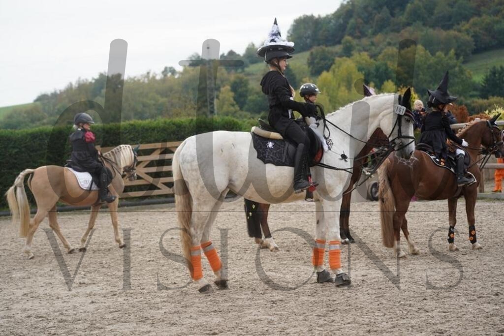 pfmagarethenhof (860) | d.tail Visions - Shop - Realisiert mit Pictrs.com