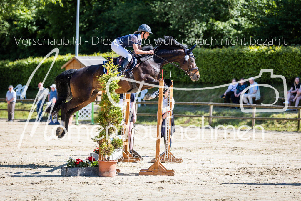 Donop24-M-Spr-082 | MomenTaufnahmen Pferdesportfotos