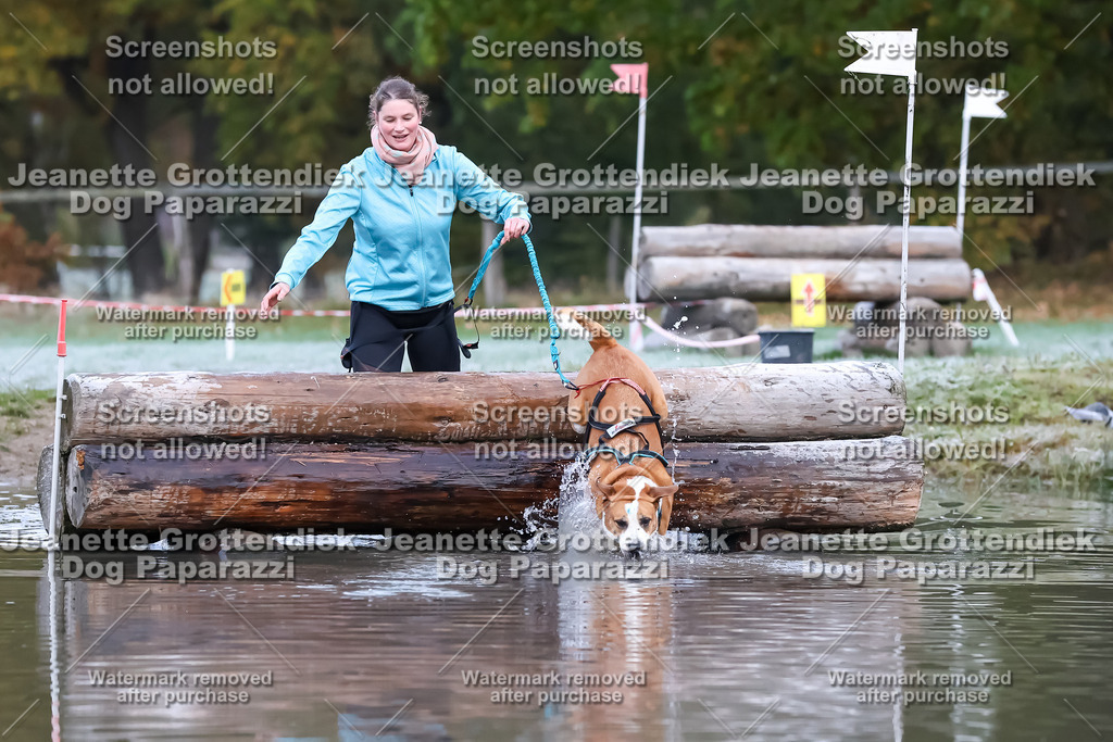 Dog Paparazzi - Strongdog 10-25-6123 | Dog Paparazzi Jeanette Grottendiek Fotografie & Videografie - Realisiert mit Pictrs.com