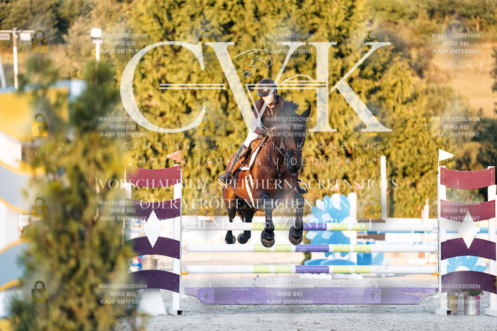 CK901248 | Turnierfotografie Pferdefotografie Trier Rheinland-Pfalz Pferdesport Reitsport Tierfotografie Sportfotografie Pferdevideo Pferdevideografie Equestrianvideography equestrianphotography  - Realisiert mit Pictrs.com