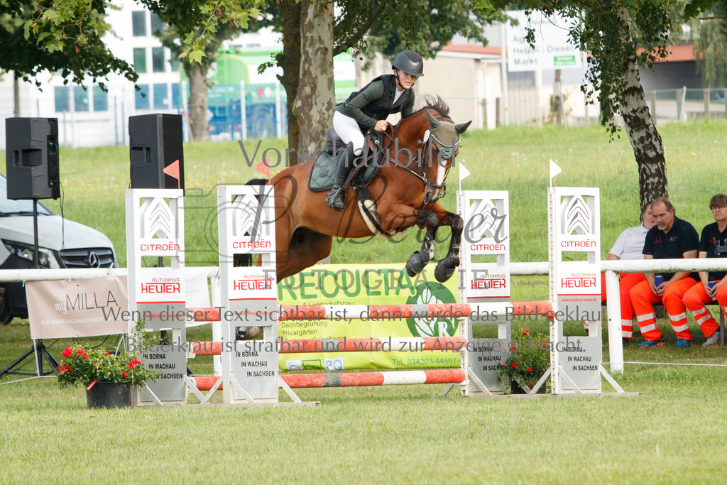 IMG_2273 | P. Berger Fotografie - Realisiert mit Pictrs.com