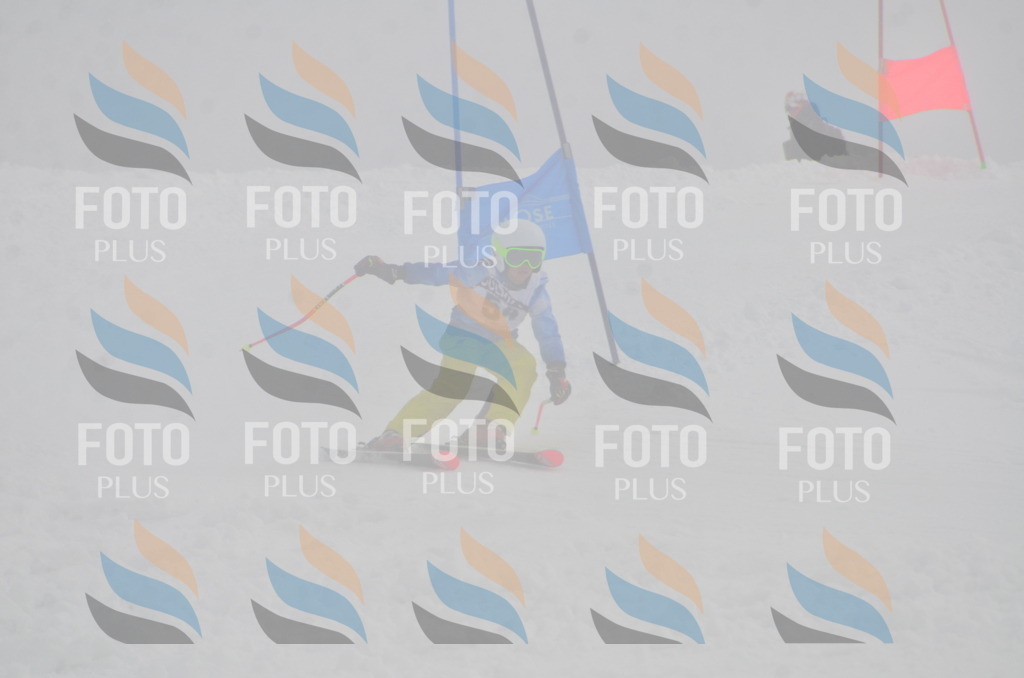 A5417 | holidayphoto