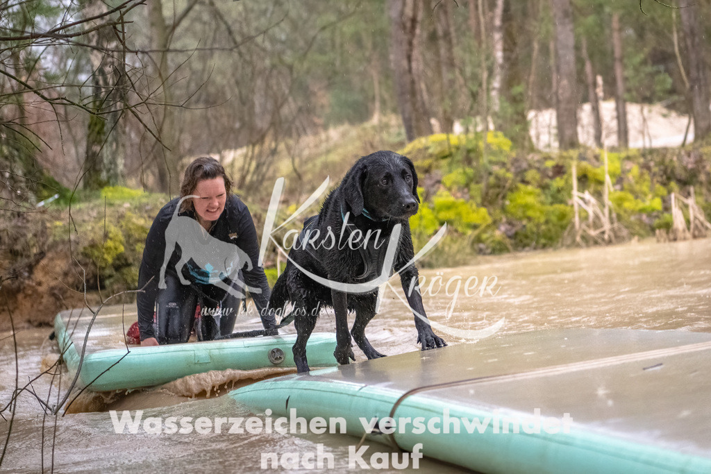 1058_ZZ93900-Bearbeitet | kk-dogfotos
