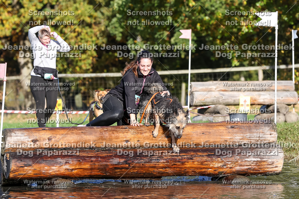 Dog Paparazzi - Strongdog 10-25-8740 | Dog Paparazzi Jeanette Grottendiek Fotografie & Videografie - Realisiert mit Pictrs.com