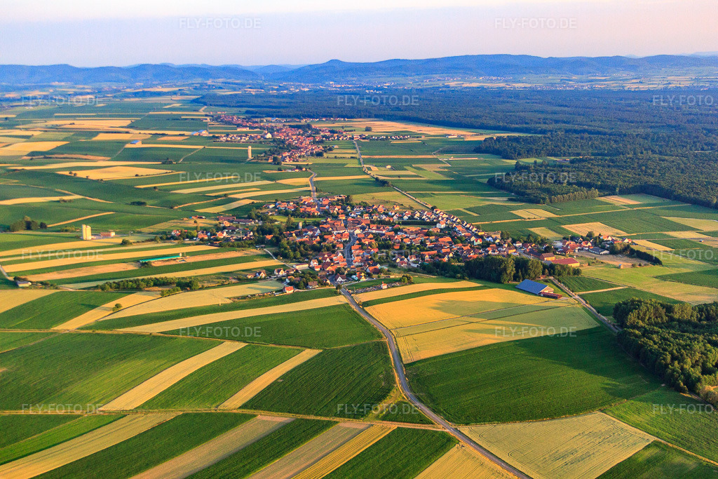 Luftbild: Dorfübersicht aus Südosten am Bienwald in Salmbach im Bundesland Bas-Rhin in Frankreich. – Foto: IMG_67976.jpg vom 19.06.2014 durch Werner Riehm/FLY-FOTO.de – Auflösung des Originals: 4752 x 3168 px