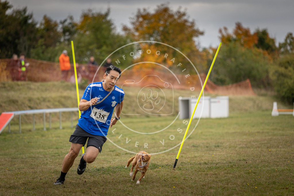Pfotenfotografie_DV3A8218 | Hundefotografie, Tierfotograf, Pfotenfotografie, Fotoshooting Hund, Hunde Portrait, Hundesport, Hundeportraits, Heideshooting, Hunde, Sportfotograf, Hundefotograf, Turnierhundsport, THS,  - Realisiert mit Pictrs.com