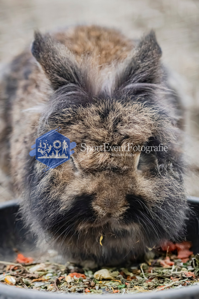 IMG_4128 | SportEventFotografie - Roman Stoiber